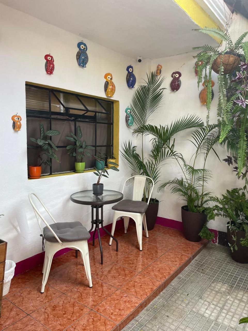 One Day Trip Hostel Antigua Ngoại thất bức ảnh